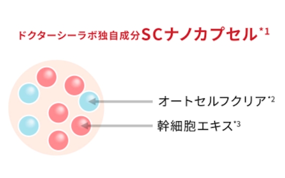 ドクター
