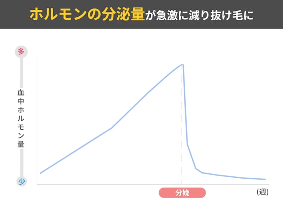 産後のホルモンバランスと抜け毛