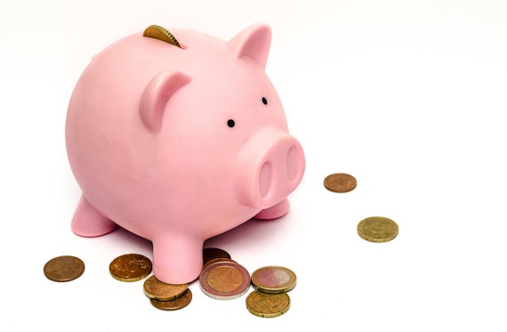 https://cdn.pixabay.com/photo/2015/10/03/20/47/piggy-bank-970340_1280.jpg