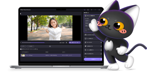 HitPaw Video Enhancer６