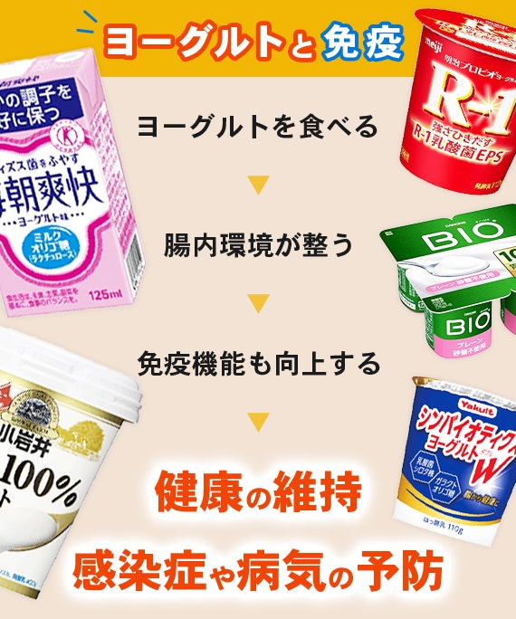 2024年最新！】免疫力を高めるヨーグルトランキング - 食品・飲料 - choiFULL｜おすすめの商品ランキング・比較情報メディア