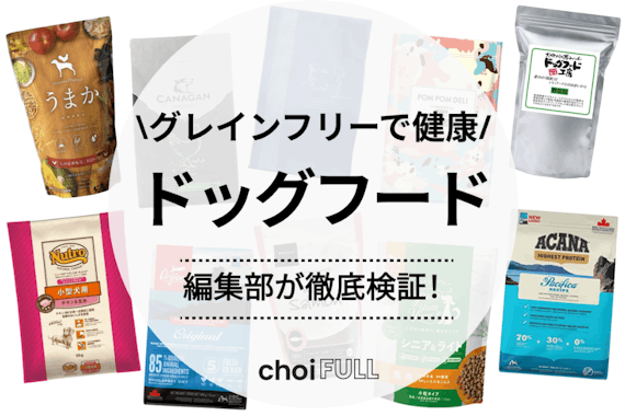 モグワンドッグフード 2袋新品未開封 送料込み 賞味期限2025年8月